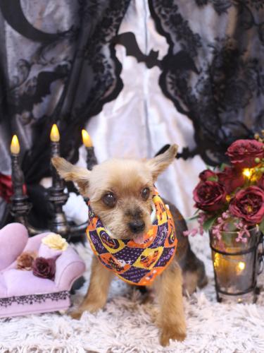 20231011小太郎くん